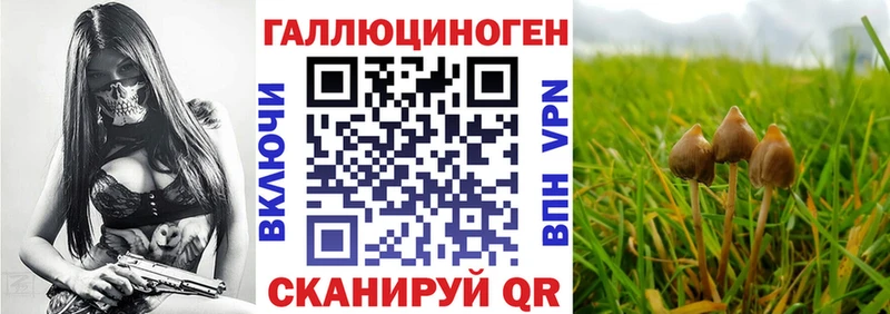 omg маркетплейс  Сегежа  Галлюциногенные грибы Cubensis 